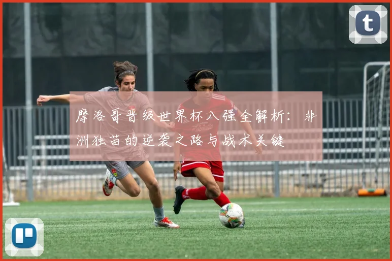 摩洛哥晋级世界杯八强全解析:非洲独苗的逆袭之路与战术关键